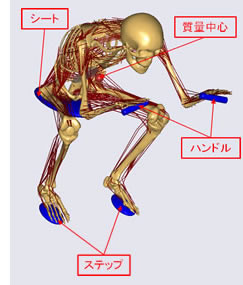 接觸面と加速度の追加