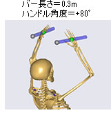 バー長さ＝0.3m、ハンドル角度＝+80°