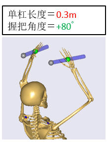 バー長さ＝0.3m、ハンドル角度＝+80°