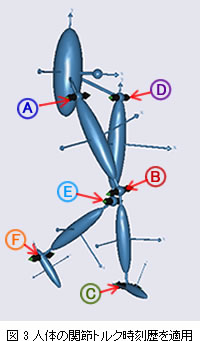 図3　人體の関節トルク時刻歴を適用